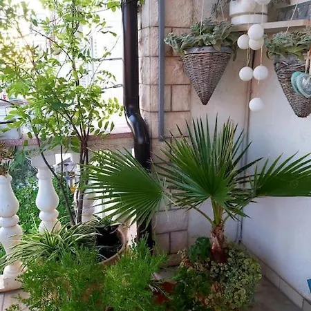 Lovely & Cosy With A Spacious Balcony 公寓 斯普利特